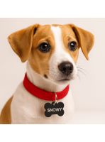 Große Hundemarke bedrucken | Omnishirt
